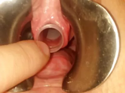 اشققت شقراء على القضيب لتسمير رحمها الجائع ووجدت واحدة اجمل كس مترجم