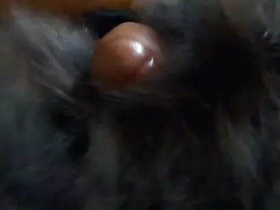 اثنان من العسل السحاقي متوقفان  عن ممارسة الجنس عن طريق الفم في الحديقة