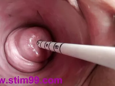الأناكوندا السوداء تتعمق في أحمقها سكس الجوكر مترجم المفتوح على مصراعيها